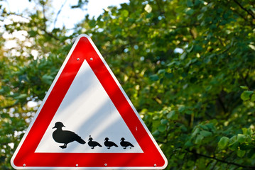Achtung Enten !
