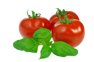 Tomate und Basilikum - tomato and basil 02