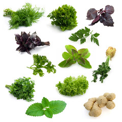 Different aromatic herbs