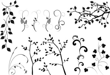 collection for designers, plant vector - 13896885