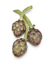 Italian Artichokes isolated ona white studio background.