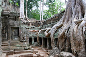 Angkor Preah Khan