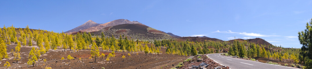 Volcanos in Tenerife