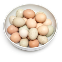 Bowl of free range eggs on a white studio background.