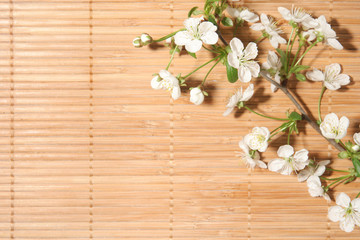 Naklejka na ściany i meble Wiśniowy kwiat na tle bambusa