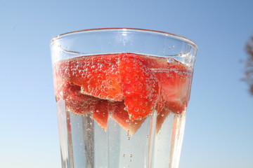 Sekt