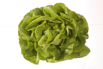 Kopfsalat