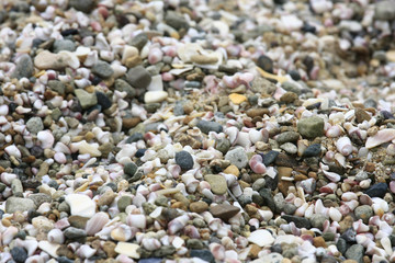 Beach Pebbles