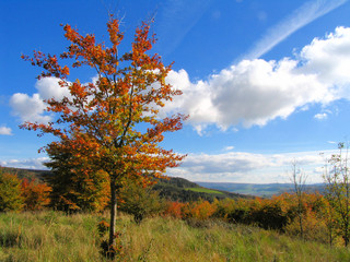 herbst