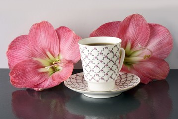 Fototapeta na wymiar amarillis flowers and coffee