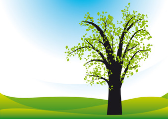 Fototapeta premium Sommerlandschaft mit Baum