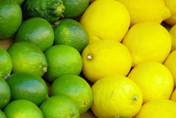 Limone Zitrone - lime citrous 02