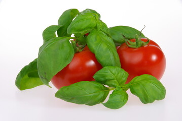 Tomate und Basilikum - tomato and basil 05