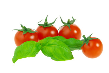 Tomate und Basilikum - tomato and basil 23