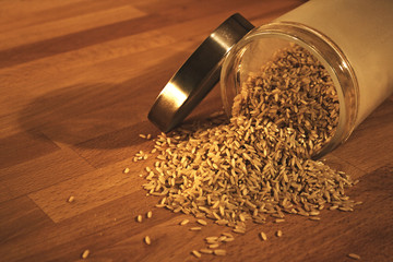 Rice