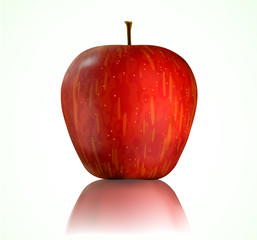 Vector illustration of detailed big shiny red apple