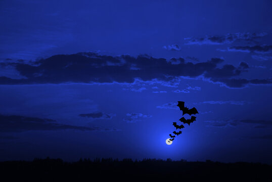 halloween background, flying bats