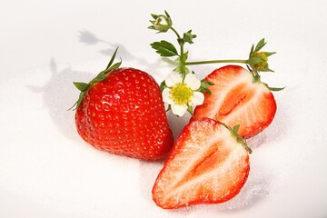 Erdbeeren auf Zuckerbett mit Blüte