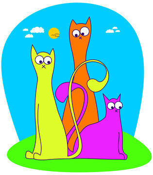 Three funny cats