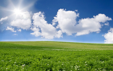 Blue sky and green field