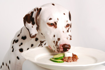 Mahlzeit