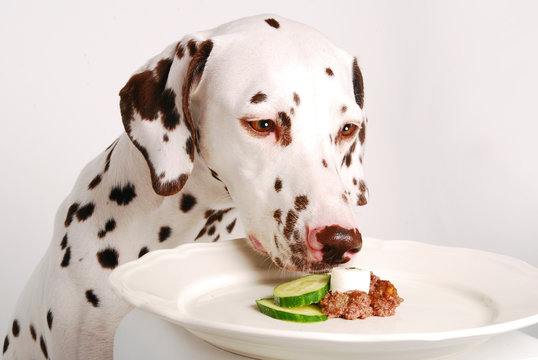 Mahlzeit