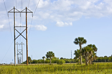 electric power wires in the Everglades florida - 13924098