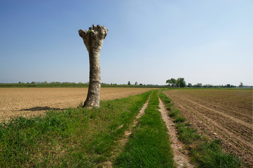 campagna