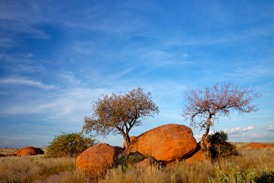 Granite boulders, trees and blue sky, Namibia