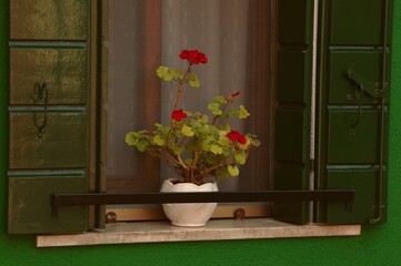 Fototapeta na wymiar Kwiaty na parapecie okna na wyspie Burano laguny weneckiej Włoszech