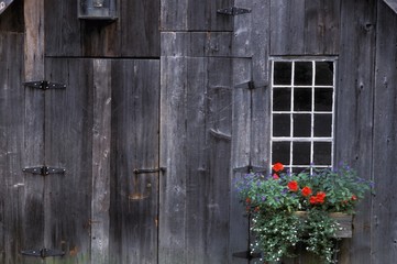 Wooden building and window box
