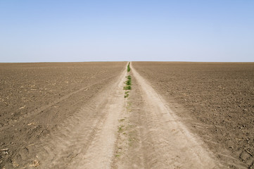 Country road and field ready for seeding