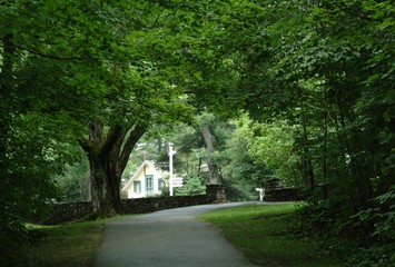 A cottage among trees