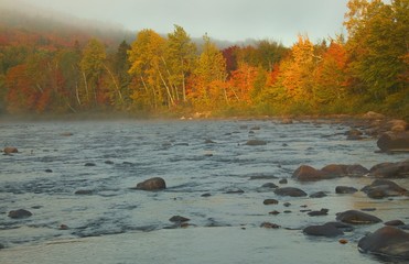 Du Diable River and fall trees
