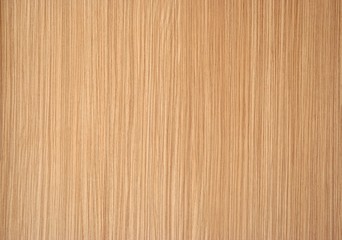 Fototapeta premium zebrano
