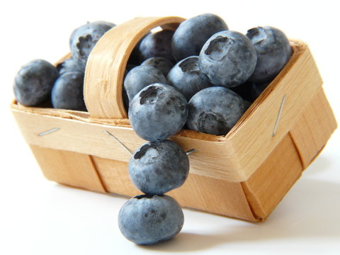 Heidelbeeren I