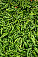 piment vert