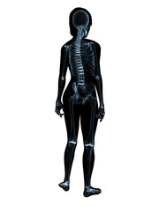 Obraz premium weibliches skelett