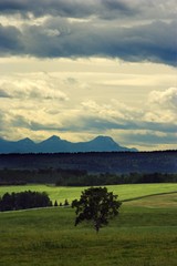 A prairie landscape