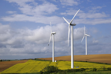 wind farm