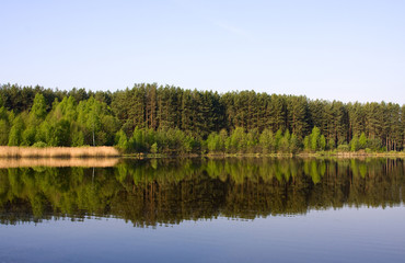 Fototapeta premium Spring park