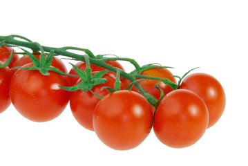 Tomate - tomato 27