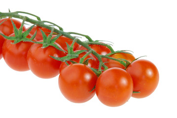 Tomate - tomato 28