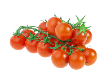 Tomate - tomato 29