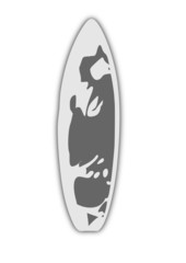 planche de surf