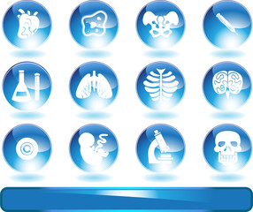 Biology Buttons