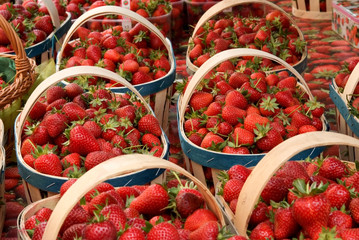 fête de la fraise - Velleron Vaucluse