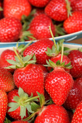fête de la fraise - Velleron Vaucluse