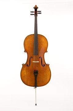 Cello on White