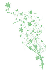 Floral illustration Flowers Ornaments Ornamental Design